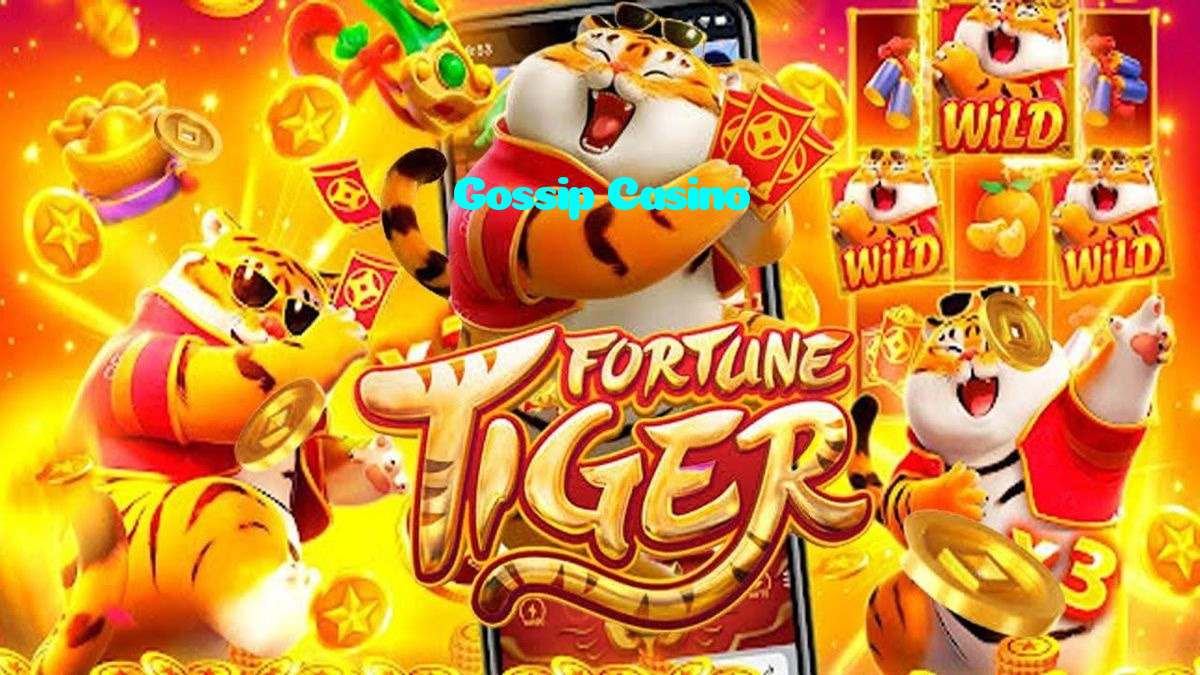available types of Gossip Casino bet including pre-match live express and system bets